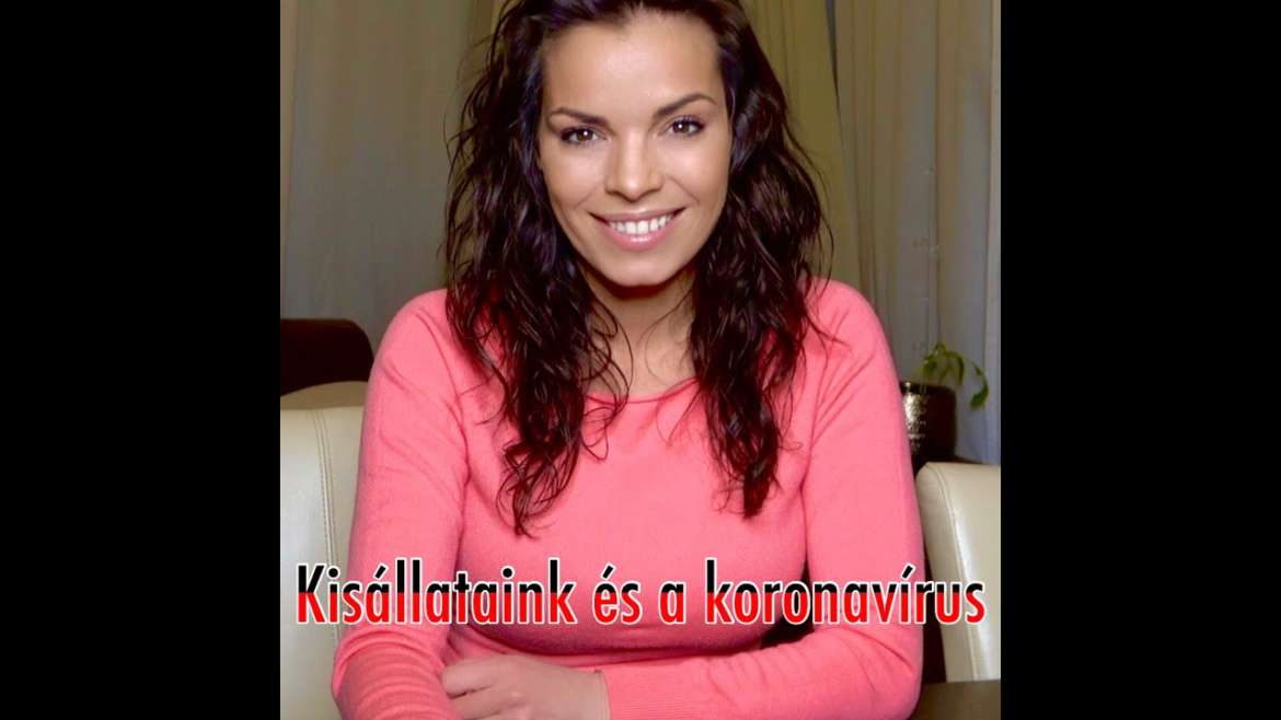 Kisállataink és a koronavírus